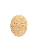 اسفنج حمام لایه بردار 1980 تیتانیا